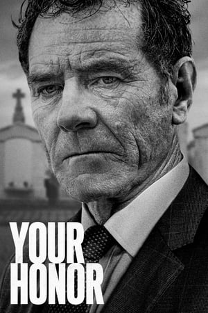 Your Honor S01E01